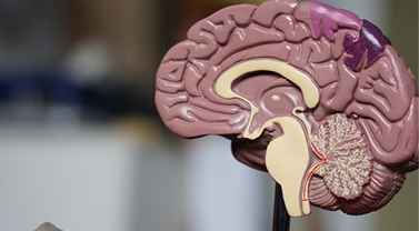Adults in psychiatric transition